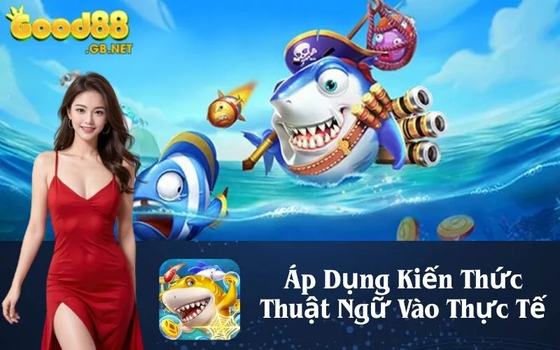 Áp Dụng Kiến Thức Thuật Ngữ Vào Thực Tế